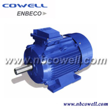 Widely Used Industrial Type Electric Motor